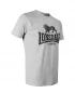Preview: Lonsdale T-Shirt Logo grey