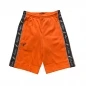 Preview: Australian Bermuda / Shorts All Over orange