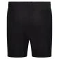 Preview: 100_percent_hardcore_swimming_shorts_back
