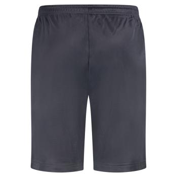 Preview: 100% Hardcore Shorts "Essential 2.0" grau Preview: 100_procent_hardcore_shorts_grau_rückseite