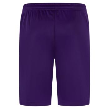 Preview: 100% Hardcore Shorts "Essential 2.0" Violett