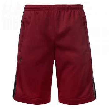 Australian Bermuda / Shorts All Over bordeauxrot