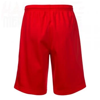 Australian Bermuda / Shorts All Over rot (3.0)