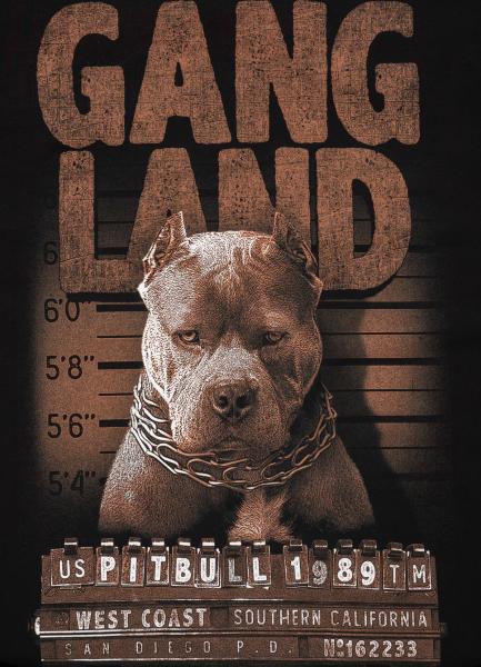 Pitbull West Coast Hooded Sweatshirt Mugshot (xxxl)