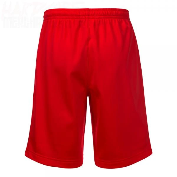 Australian Bermuda / Shorts All Over rot (3.0)